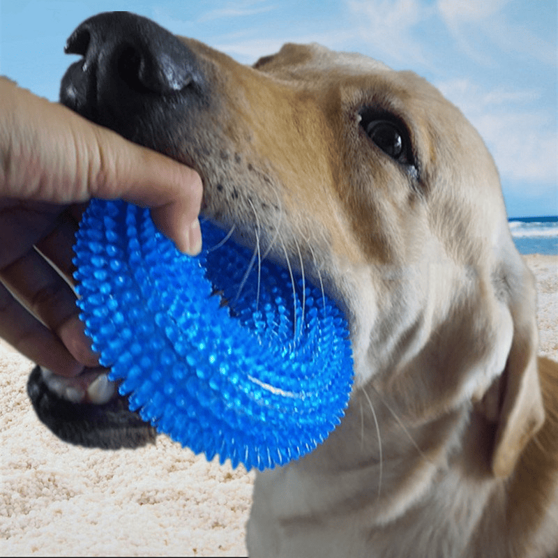 pack of 2pcs dog toys Pet toy bite resistant sound making toy ball dog toy tooth cleaning molar dog toy