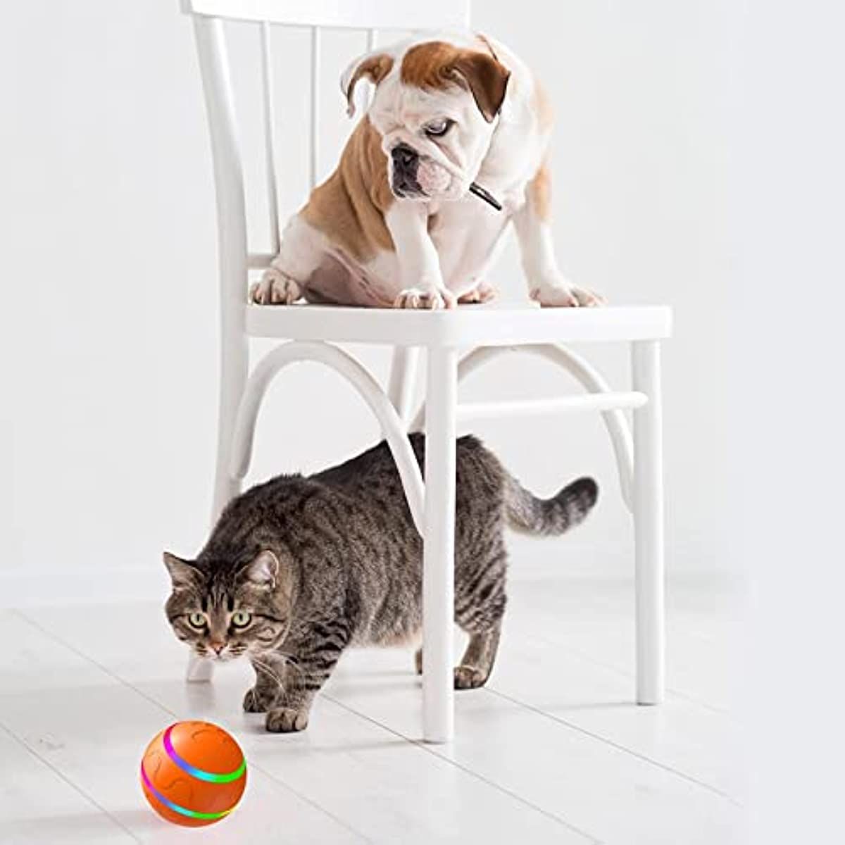 Rolling Ball for Dogs; Pet Dog Mental Stimulation Toys | Made of Natural Rubber; Active Rolling Ball for Dog Puppies and Cats; Happy; Intelligent Interactive Dog Toy