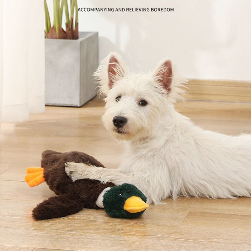 Plush Mallard Duck Dog Toy Plush Squeaky Dog Toy Crinkle Dog Toy Cute Duck Pet Toy for Small Medium Large Pets Stuffed Animals Chew Toy for Biting Training Teething Indoor Pet Interactive Toy
