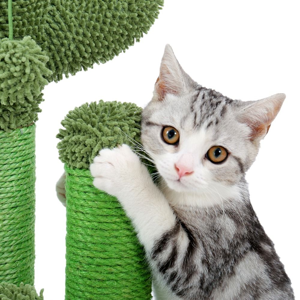 Pet Supplies Cute Cactus Tree Pet Cat Toy With Ball Scratching Post