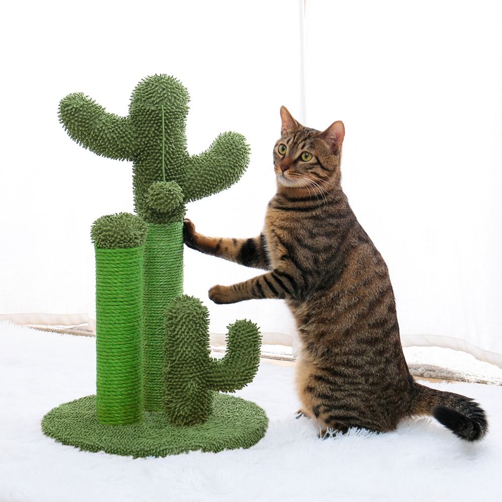 Pet Supplies Cute Cactus Tree Pet Cat Toy With Ball Scratching Post