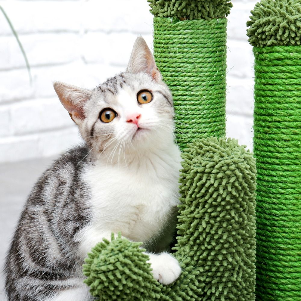 Pet Supplies Cute Cactus Tree Pet Cat Toy With Ball Scratching Post