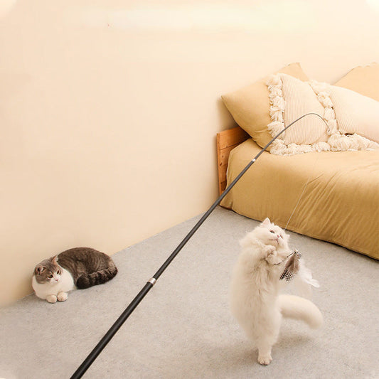 Why Choosing the Right Pet Products Matters for Your Furry Friend’s Well-Being