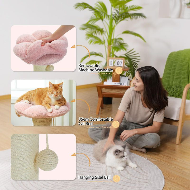 Tall Cat Scratching Post Small Cat Tree for Indoor